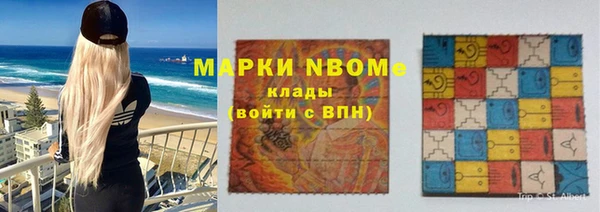 индика Медвежьегорск