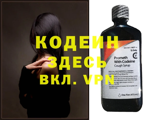 индика Медвежьегорск