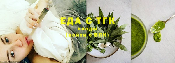 индика Медвежьегорск