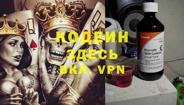 индика Медвежьегорск