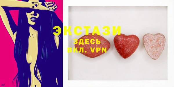 индика Медвежьегорск
