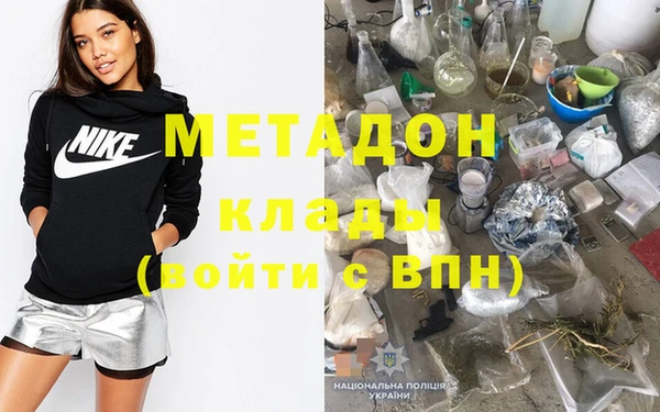 индика Медвежьегорск
