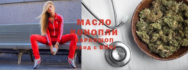 индика Медвежьегорск