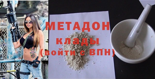 индика Медвежьегорск