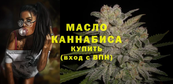 индика Медвежьегорск