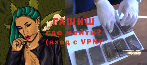 индика Медвежьегорск