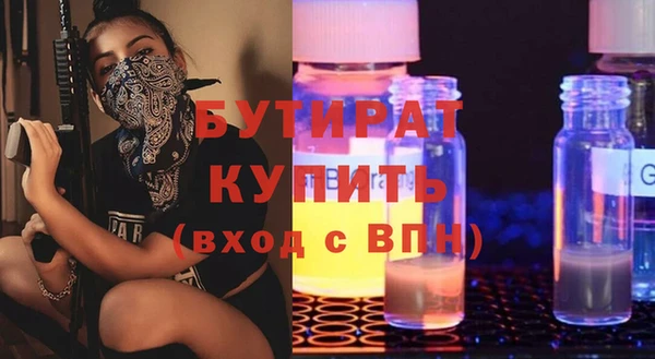 индика Медвежьегорск