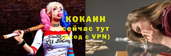 индика Медвежьегорск
