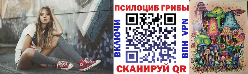 даркнет сайт  Черняховск  Псилоцибиновые грибы Magic Shrooms 