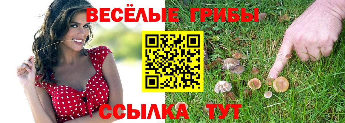 Канабис Черняховск