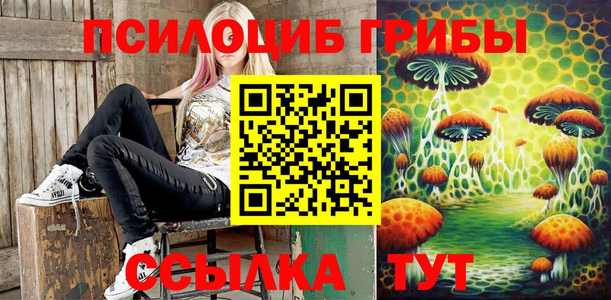 Галлюциногенные грибы Psilocybine cubensis Черняховск